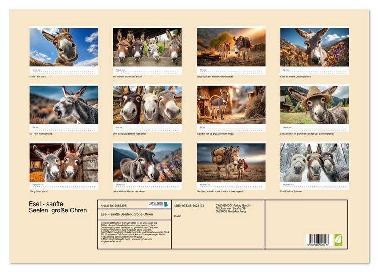 Produktbild: Esel - sanfte Seelen, gro&szlig;e Ohren (Wandkalender 2026 DIN A2 quer), CALVENDO Monatskalender
