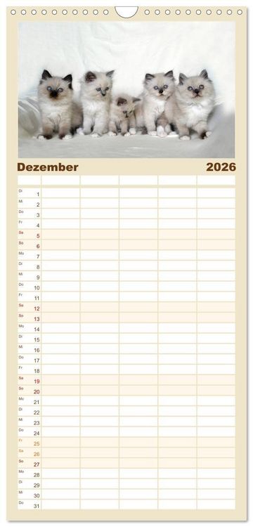 Produktbild: Familienplaner 2026 - Katzenparade mit 5 Spalten (Wandkalender, 21 x 45 cm) CALVENDO