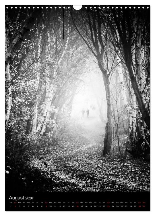 Produktbild: Journeys - Black & White (Wall Calendar 2026 DIN A3 portrait), CALVENDO 12 Month Wall Calendar