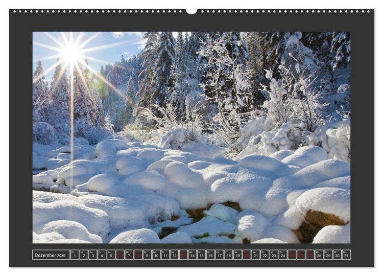 Produktbild: Gr&uuml;&szlig;e aus Wald (Wandkalender 2026 DIN A2 quer), CALVENDO Monatskalender