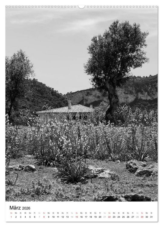 Produktbild: Mallorca Impressionen in schwarz-wei&szlig; (hochwertiger Premium Wandkalender 2026 DIN A2 hoch), Kunstdruck in Hochglanz