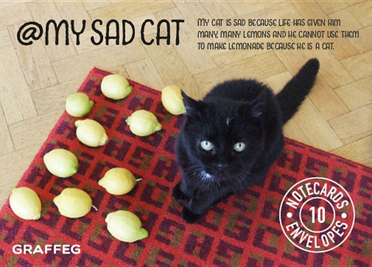 Produktbild: My Sad Cat Notecards