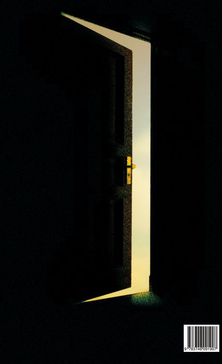 Produktbild: Ins Licht