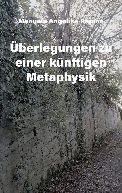 Produktbild: &Uuml;berlegungen zu einer k&uuml;nftigen Metaphysik