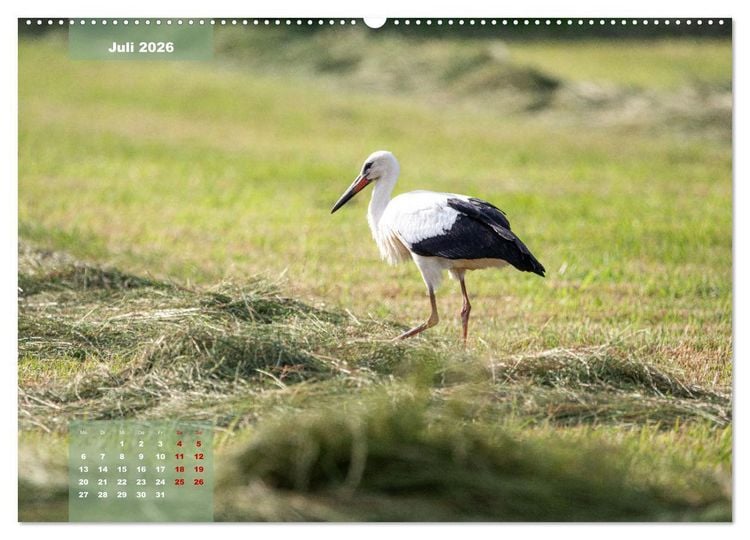 Produktbild: Ein Jahr Niederrhein Momente der Natur (Wandkalender 2026 DIN A2 quer), CALVENDO Monatskalender