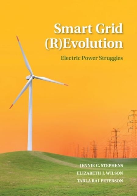 Produktbild: Smart Grid (R)Evolution