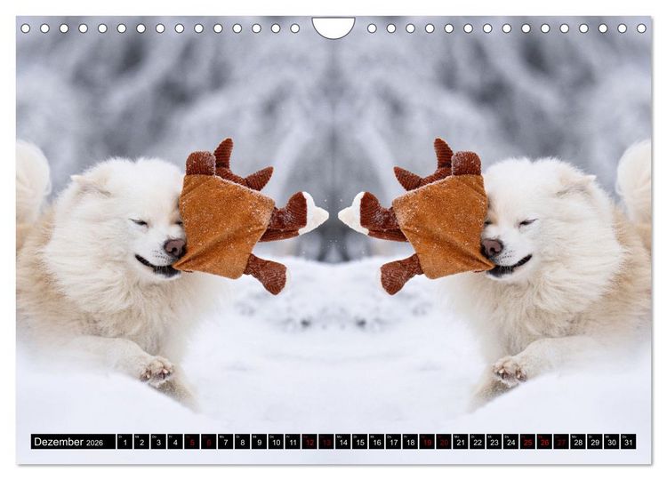Produktbild: Mit doppelter Power durch das Jahr (Wandkalender 2026 DIN A4 quer), CALVENDO Monatskalender