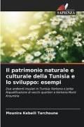 Produktbild: Il patrimonio naturale e culturale della Tunisia e lo sviluppo: esempi