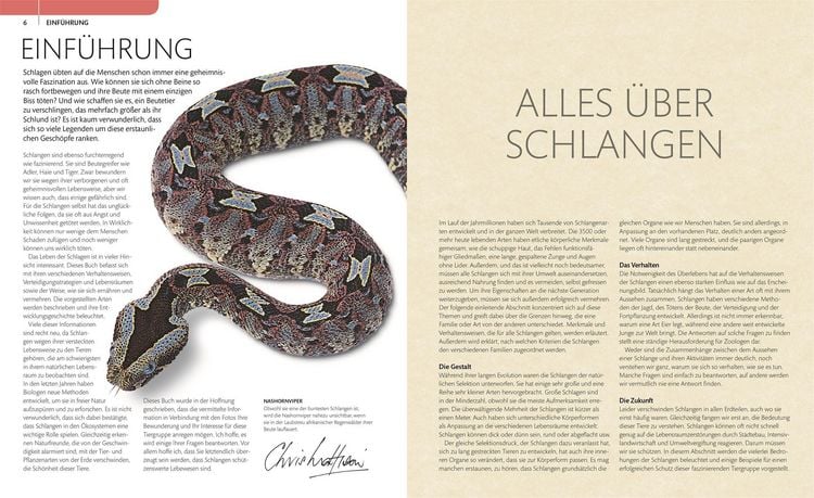 Produktbild: Schlangen