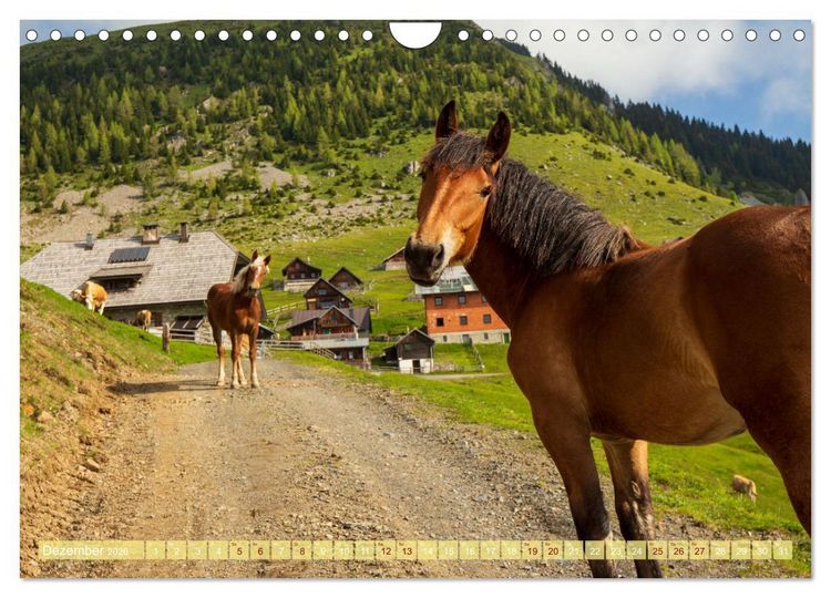 Produktbild: Die Feistritzer Alm - Wandern in den K&auml;rntner Bergen (Wandkalender 2026 DIN A4 quer), CALVENDO Monatskalender