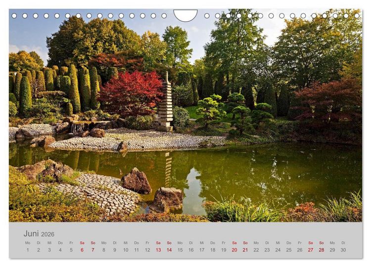 Produktbild: Bonn Die Stadt am Rhein (Wandkalender 2026 DIN A4 quer), CALVENDO Monatskalender