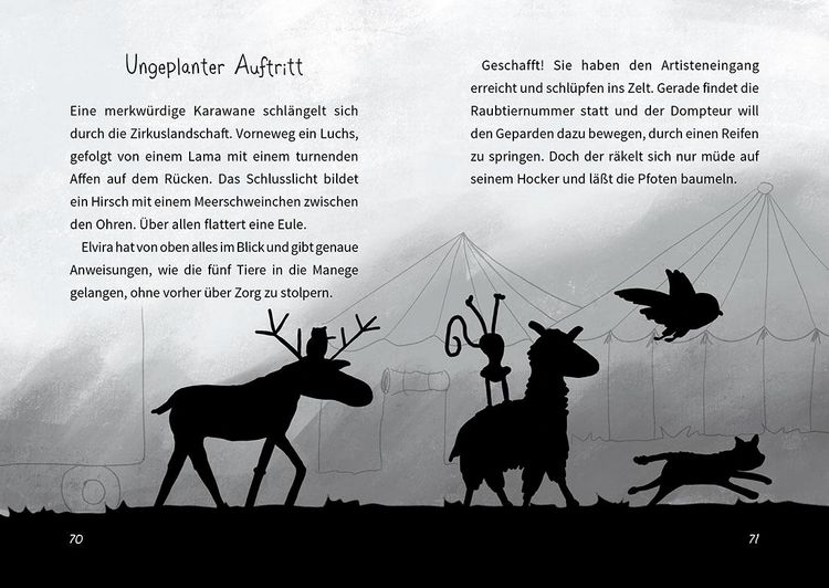 Produktbild: Das Wilde Haus der Tiere &ndash; Das Drama-Lama