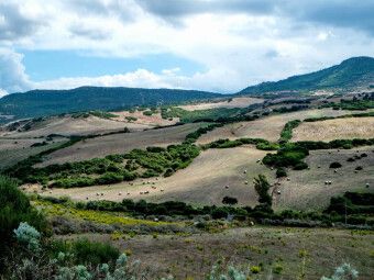 Produktbild: CALVENDO Puzzle Herbstliche Felder auf Sardinien | 1000 Teile Lege-Gr&ouml;&szlig;e 64x48cm Foto-Puzzle f&uuml;r gl&uuml;ckliche Stunden