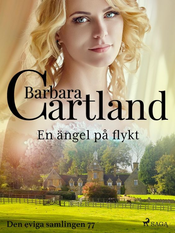 Produktbild: En &auml;ngel p&aring; flykt