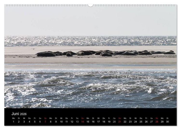 Produktbild: Sylt 2026 (hochwertiger Premium Wandkalender 2026 DIN A2 quer), Kunstdruck in Hochglanz