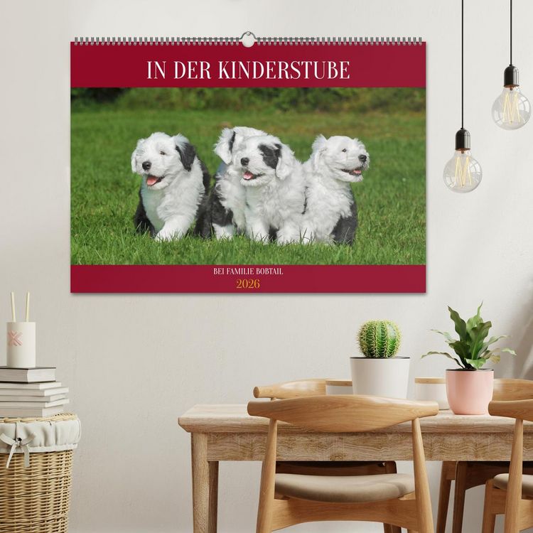 Produktbild: In der Kinderstube bei Familie Bobtail (Wandkalender 2026 DIN A2 quer), CALVENDO Monatskalender