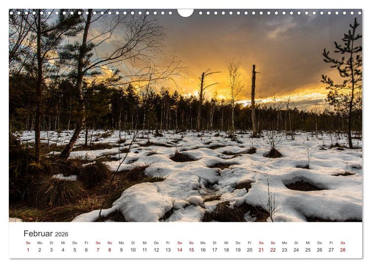 Produktbild: Naturjuwel Haspelmoor (Wandkalender 2026 DIN A3 quer), CALVENDO Monatskalender