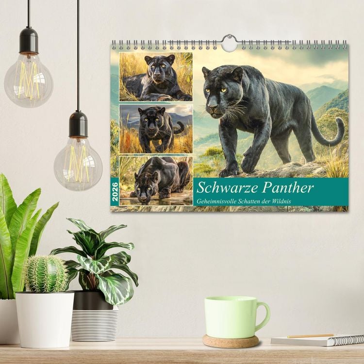 Produktbild: Schwarze Panther. Geheimnisvolle Schatten der Wildnis (Wandkalender 2026 DIN A4 quer), CALVENDO Monatskalender