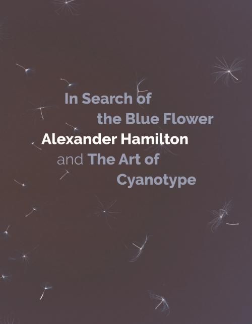 Produktbild: In Search of the Blue Flower