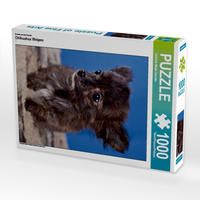 Produktbild: CALVENDO Puzzle Chihuahua Welpen 1000 Teile Lege-Gr&ouml;&szlig;e 48 x 64 cm Foto-Puzzle Bild von Gabriela Wejat-Zaretzke