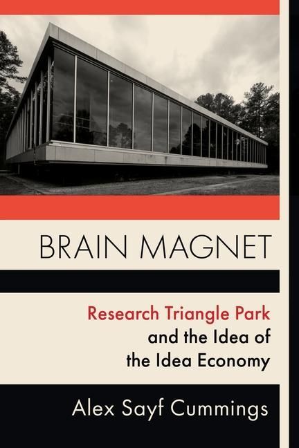 Produktbild: Cummings, A: Brain Magnet