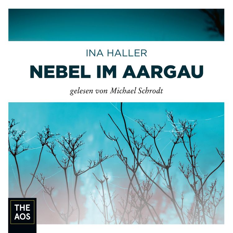 Produktbild: Nebel im Aargau