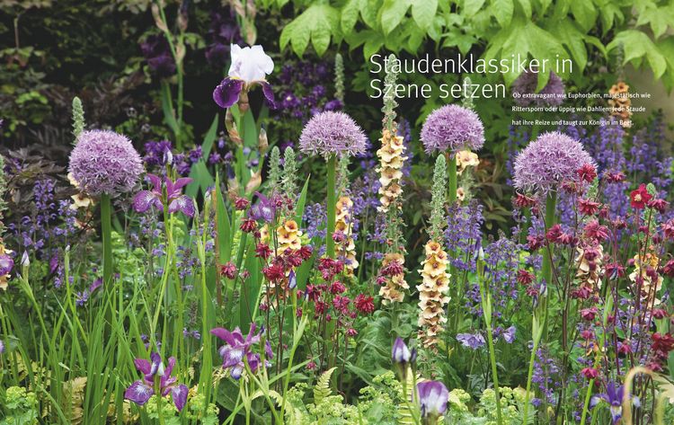 Produktbild: Ganzj&auml;hrig attraktive Beete mit Blatt und Bl&uuml;te