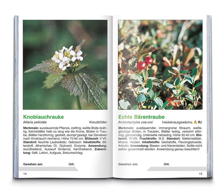 Produktbild: KOMPASS Naturf&uuml;hrer Heilpflanzen, der handliche Begleiter in die Natur