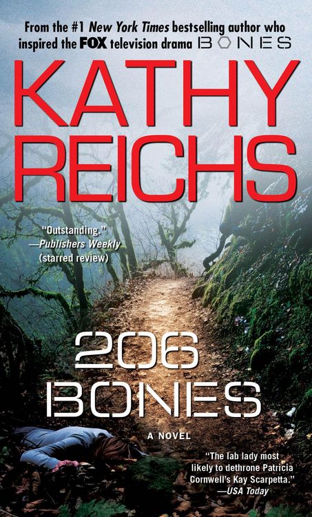 Produktbild: 206 Bones