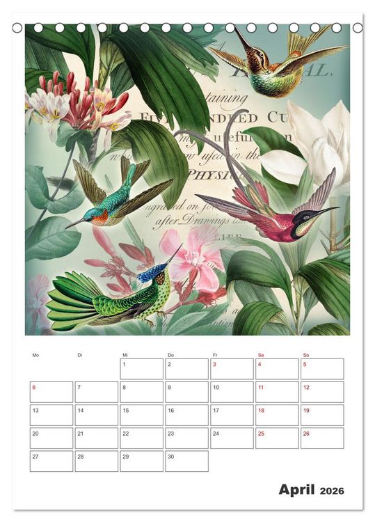 Produktbild: Das Paradies der Kolibris (Tischkalender 2026 DIN A5 hoch), CALVENDO Monatskalender
