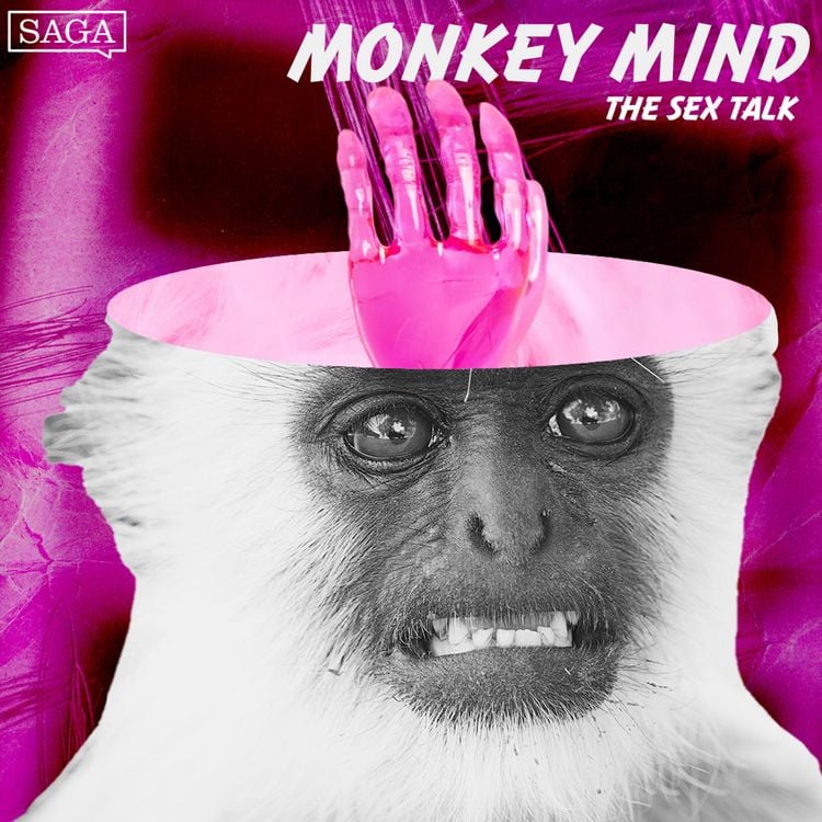 Produktbild: The Sex Talk