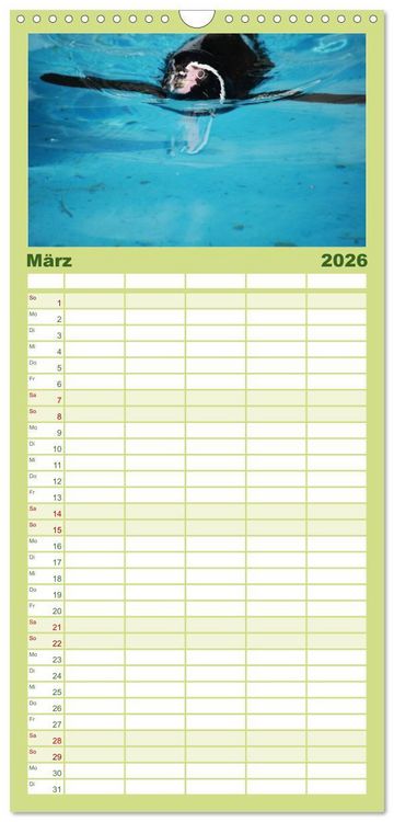 Produktbild: Familienplaner 2026 - Pinguine 2026 mit 5 Spalten (Wandkalender, 21 x 45 cm) CALVENDO