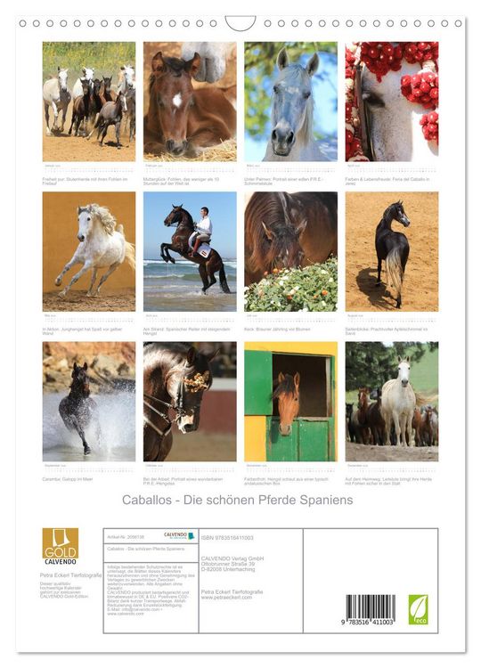 Produktbild: Caballos - Die sch&ouml;nen Pferde Spaniens (Wandkalender 2026 DIN A3 hoch), CALVENDO Monatskalender