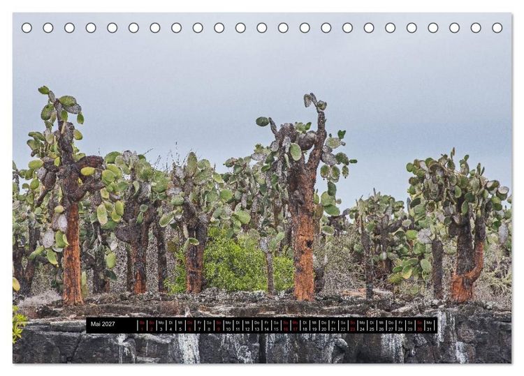 Produktbild: Galapagos- Landschaften (Tischkalender 2027 DIN A5 quer), CALVENDO Monatskalender