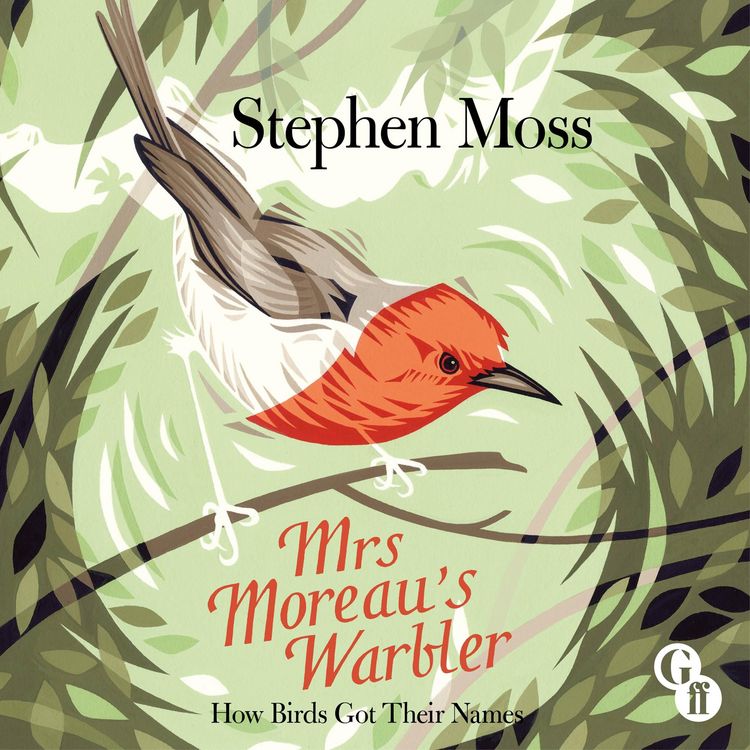 Produktbild: Mrs Moreau's Warbler