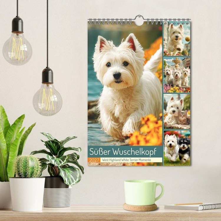 Produktbild: S&uuml;&szlig;er Wuschelkopf. West Highland White Terrier Momente (Wandkalender 2027 DIN A4 hoch), CALVENDO Monatskalender