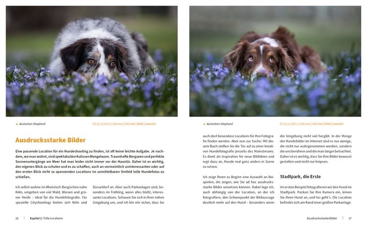 Produktbild: Hunde fotografieren - Kreative Bilder mit "Wau-Effekt"