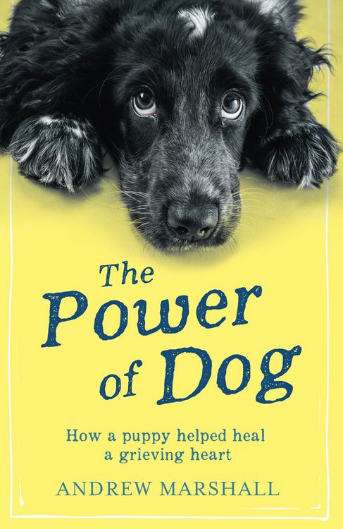 Produktbild: Power of Dog