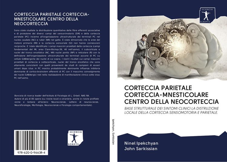 Produktbild: CORTECCIA PARIETALE CORTECCIA-MNESTICOLARE CENTRO DELLA NEOCORTECCIA