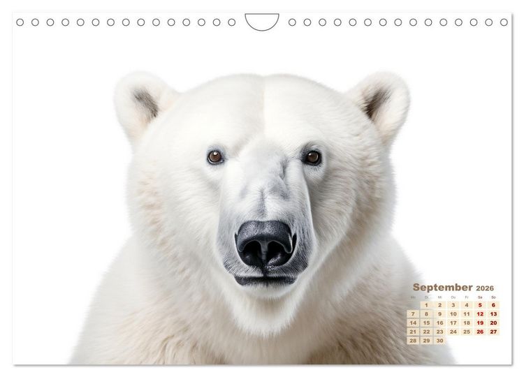 Produktbild: Wei&szlig;e Tierwelt (Wandkalender 2026 DIN A4 quer), CALVENDO Monatskalender