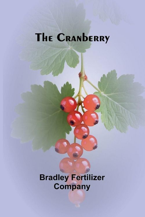 Produktbild: The Cranberry