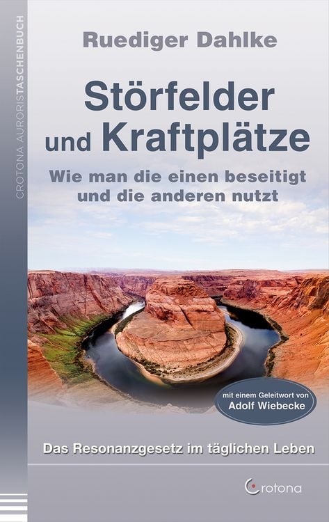 Produktbild: St&ouml;rfelder und Kraftpl&auml;tze