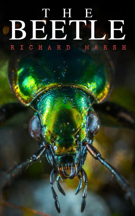Produktbild: The Beetle