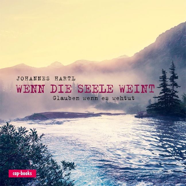 Produktbild: Wenn die Seele weint