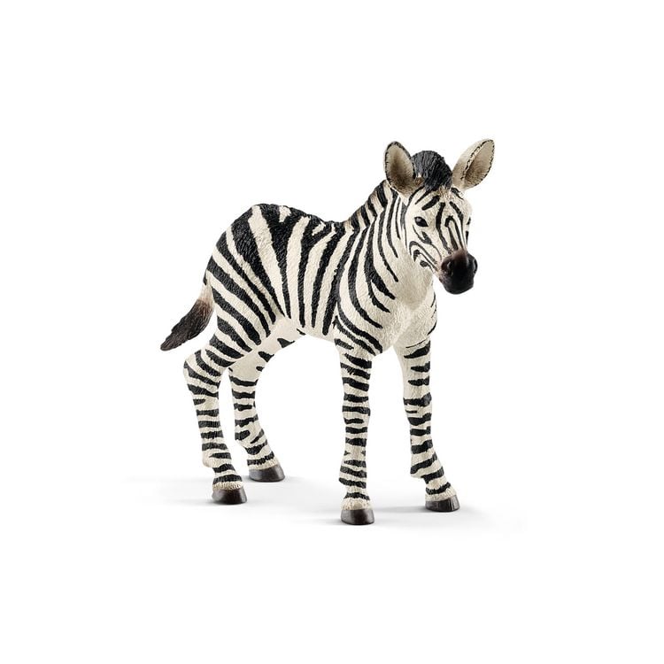 Produktbild: schleich&reg; 14811 Zebra Fohlen