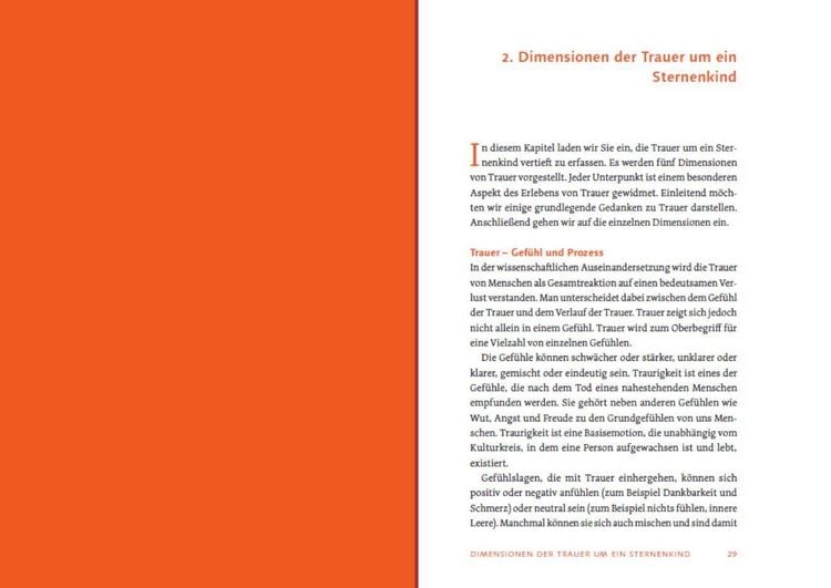 Produktbild: Sternenkind: Trauer verstehen und begleiten
