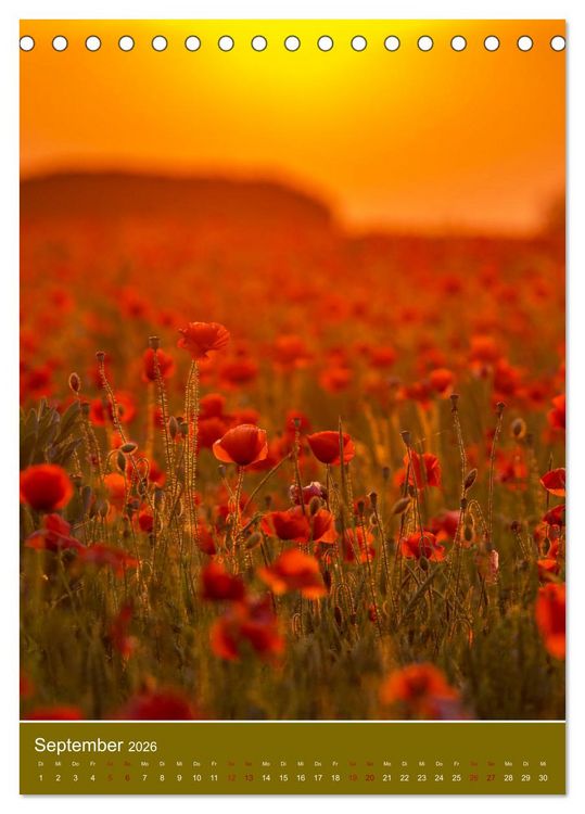 Produktbild: Mohnblumen - kraftvoll und zart (Tischkalender 2026 DIN A5 hoch), CALVENDO Monatskalender