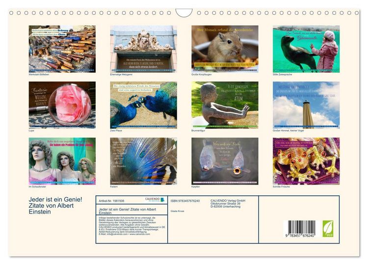 Produktbild: Jeder ist ein Genie! Zitate von Albert Einstein (Wandkalender 2026 DIN A3 quer), CALVENDO Monatskalender