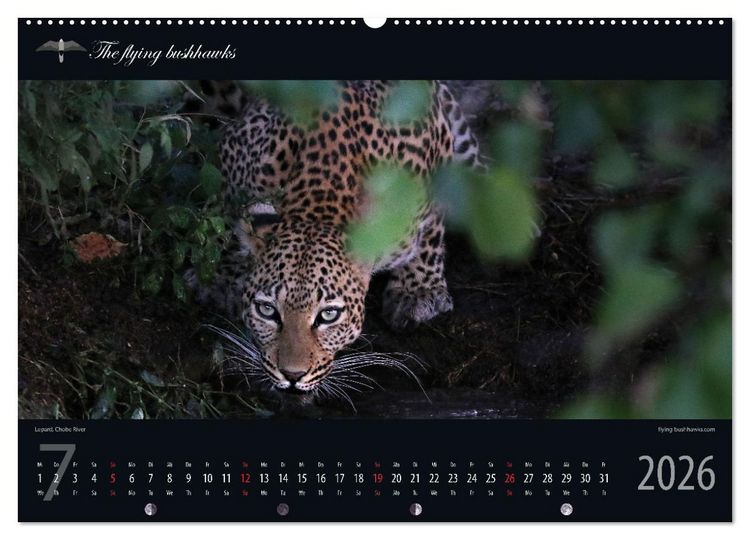 Produktbild: Botswana Blickwinkel 2026 (hochwertiger Premium Wandkalender 2026 DIN A2 quer), Kunstdruck in Hochglanz