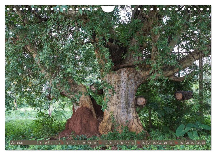 Produktbild: Geheimtipp Uganda (Wandkalender 2026 DIN A4 quer), CALVENDO Monatskalender